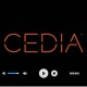 CEDIA IoT and Security Podcast