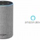The Amazon Echo, which runs the Alexa voice assistant, is one of the main players in the residential voice control market.